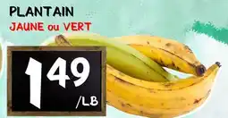 Marche Salaberry PLANTAIN offer