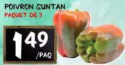 Marche Salaberry POIVRON SUNTAN offer