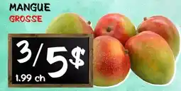 Marche Salaberry MANGUE offer