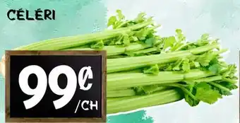 Marche Salaberry CÉLÉRI offer