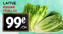 Marche Salaberry LAITUE ROMAINE FEUILLES offer