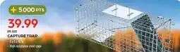 Pronature CAPTURE TRAP offer