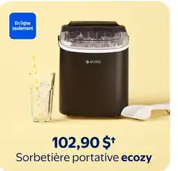 Walmart Sorbetière portable ecozy offer