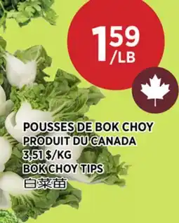 Kim Phat BOK CHOY TIPS offer