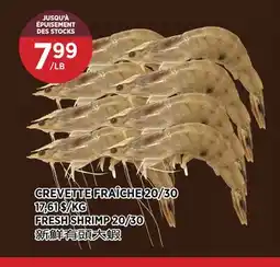 Kim Phat FRESH SHRIMP 20/30 offer