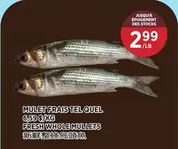 Kim Phat FRESH WHOLE MULLETS offer