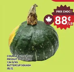 Kim Phat BUTTERCUP SQUASH offer