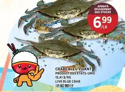 Kim Phat LIVE BLUE CRAB offer