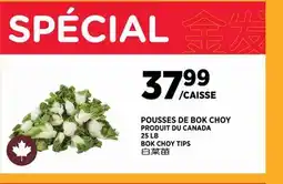 Kim Phat BOK CHOY TIPS offer