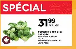 Kim Phat SHANGHAI BOK CHOY TIPS offer