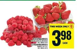 Food Basics Raspberries and Strawberries offer