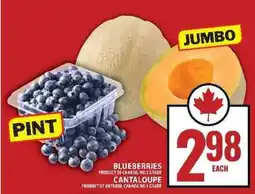 Food Basics Blueberries and Cantaloupe offer