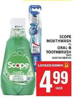 Food Basics Scope Mouthwash 1L / Oral-B Toothbrush offer