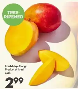 Longo's Fresh Maya Mango offer