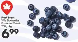 Longo's Fresh Sweet Wild Blueberries Product of Ontario offer