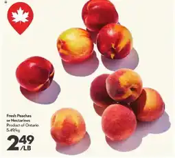 Longo's Fresh Peaches or Nectarines offer
