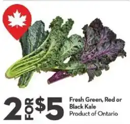 Longo's Fresh Green and Red or Black Kale Product of Ontario offer
