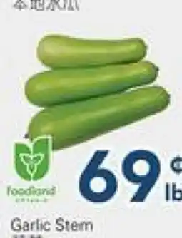 Oceans Fresh Food Market Opo Squash offer