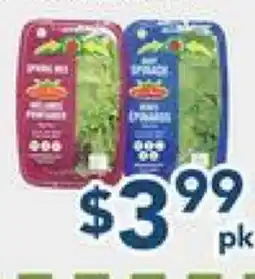 Oceans Fresh Food Market Baby Spinach & Spring Mix offer