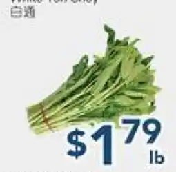 Oceans Fresh Food Market White Ton Choy offer