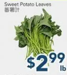 Oceans Fresh Food Market Sweet Potato Leaves offer