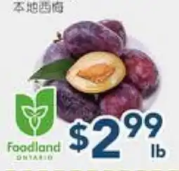 Oceans Fresh Food Market Prune Plum offer