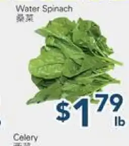 Oceans Fresh Food Market Water Spinach offer