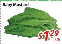 Bestco Food Mart Baby Mustard offer