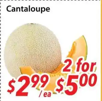 Bestco Food Mart Cantaloupe offer