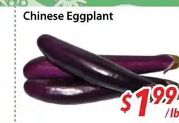 Bestco Food Mart Chinese Eggplant offer