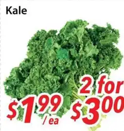 Bestco Food Mart Kale offer