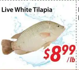 Bestco Food Mart Live White Tilapia offer