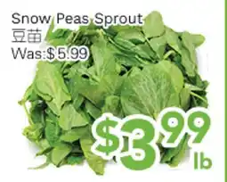 Ample Food Market Snow Peas Sprout offer
