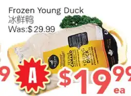 Ample Food Market Frozen Young Duck offer