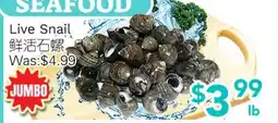 Ample Food Market Live Snail offer