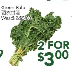 Ample Food Market Green Kale offer
