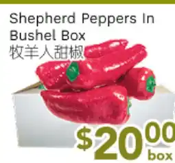 Ample Food Market Shepherd Peppers in Bushel Box offer