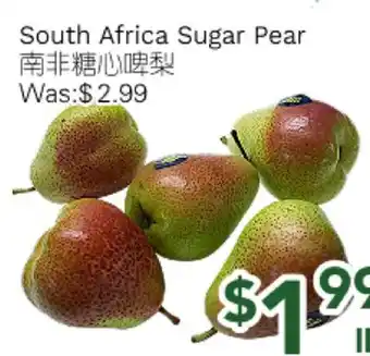 Ample Food Market South Africa Sugar Pear offer