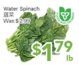 Ample Food Market Water Spinach offer