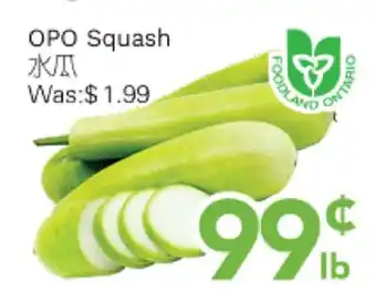 Ample Food Market OPO Squash offer