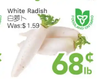 Ample Food Market White Radish offer
