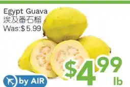 Ample Food Market Egypt Guava offer