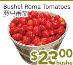 Ample Food Market Bushel Roma Tomatoes offer