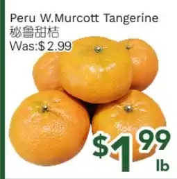 Ample Food Market Peru W.Murcott Tangerine offer