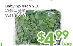 Ample Food Market Baby Spinach offer