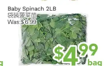 Ample Food Market Baby Spinach offer