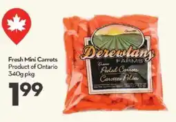 Longo's Fresh Mini Carrots Product of Ontario offer