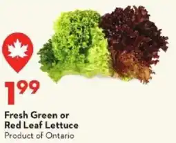 Longo's Fresh Green or Red Leaf Lettuce offer