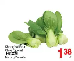 T&T Supermarket SHANGHAI BOK CHOY SPROUT offer
