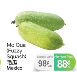 T&T Supermarket MO QUA (FUZZY SQUASH) offer